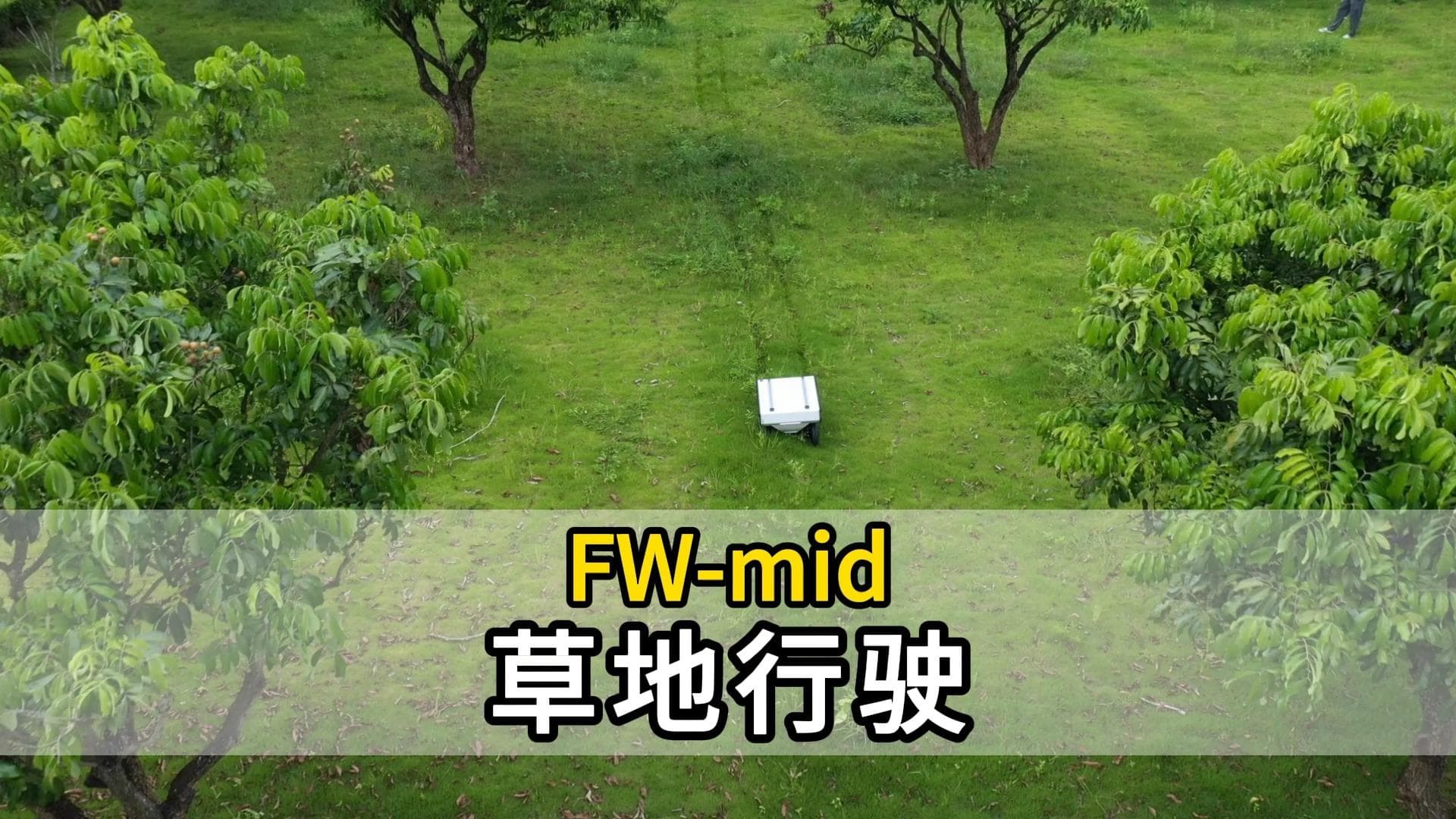 FW-mid草地行驶.jpg