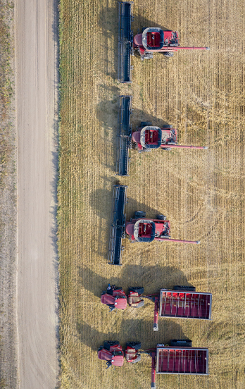 Agriculture
